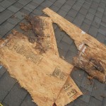 Cracked Shingle Roof Leak Repair 5
